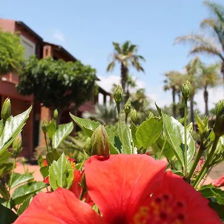 Le Dune Santa Maria Del Focallo