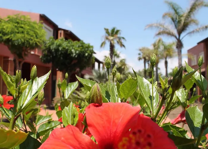 Le Dune Santa Maria Del Focallo